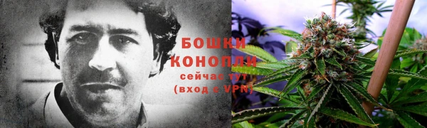 прущие крисы Абинск