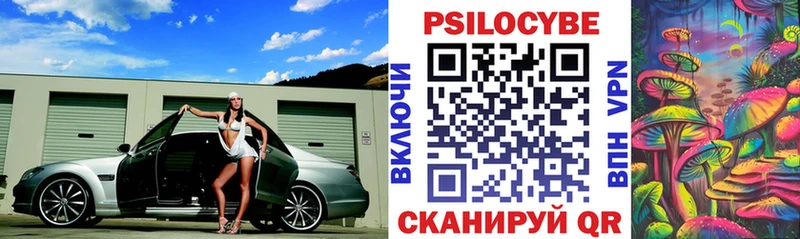 Псилоцибиновые грибы GOLDEN TEACHER Галич